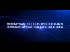 Введение MICONVEY Компании